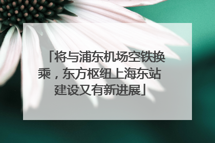 将与浦东机场空铁换乘，东方枢纽上海东站建设又有新进展